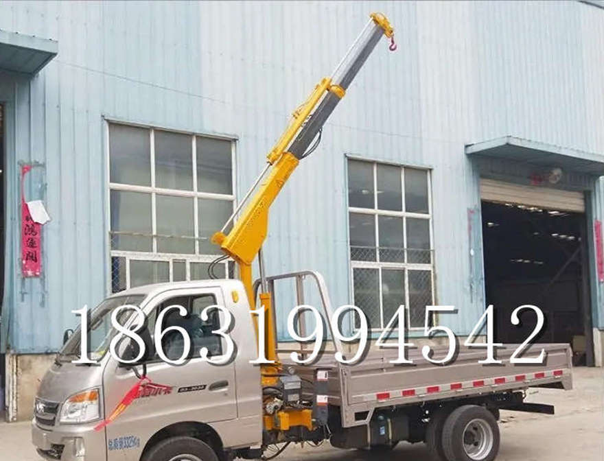 卑南乡车载吊机室内吊机多少钱车载吊机悬臂吊机室内吊机遥控升降机小型